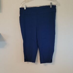 Blue Cropped Pants
